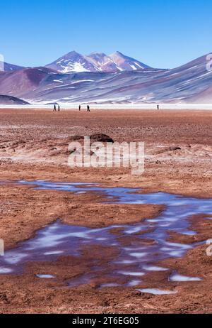 Touristen wandern auf dem Eis des gefrorenen Sees Laguna Miscanti in den Anden im Norden Chiles. Die Berge blicken auf die Lagune. Stockfoto