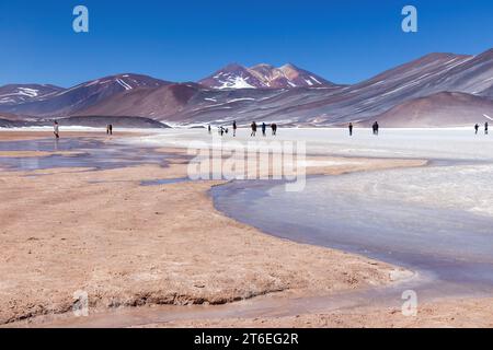 Touristen wandern auf dem Eis des gefrorenen Sees Laguna Miscanti in den Anden im Norden Chiles. Die Berge blicken auf die Lagune. Stockfoto