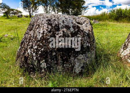 Ebene von Gläsern (Gläser einfach), Megalithglas mit Froschmann-Relief, Gruppe 2 von Standort 1, Phonsavan, Provinz Xiangkhouang, Laos, Südostasien, Asien Stockfoto