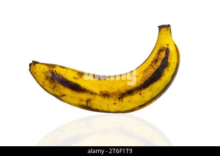 Verfaulte Banane auf weißem Hintergrund isoliert, Beschneidungspfad Stockfoto