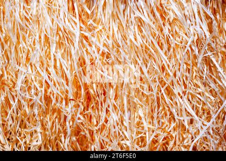 Strömt auf einer hellen Oberfläche. Ein Hintergrund mit purpurroten Streifen von Farbe. Vertikale Ströme aus roter, purpurpurroter Farbe. Abstrakte Hintergrundstruktur Stockfoto