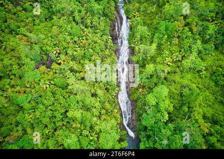 Drohnenfotgraphie des Sauzier-Wasserfalls auf, umgeben von üppigem Wald, Mahe Seychellen Stockfoto