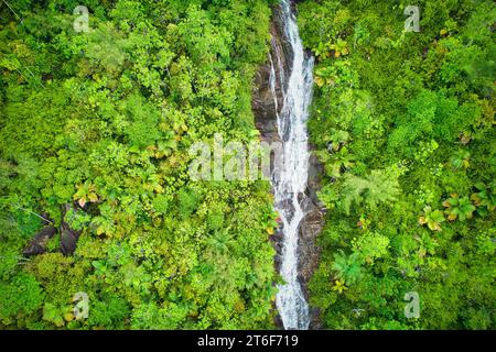 Drohnenfotgraphie des Sauzier-Wasserfalls auf, umgeben von üppigem Wald, Mahe Seychellen Stockfoto