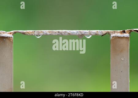 Wassertropfen auf einem Eisengeländer mit grünem Naturhintergrund. Selektiver Fokus auf das Tröpfchen. Stockfoto