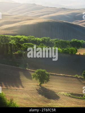 SAN QUIRICO D'ORCIA, TOSKANA / ITALIEN - 27. Oktober 2023: Herrliche Beleuchtung über Bäumen und sanften Hügeln bei Sonnenaufgang in der Nähe von San Quirico d'Orcia im Val Stockfoto