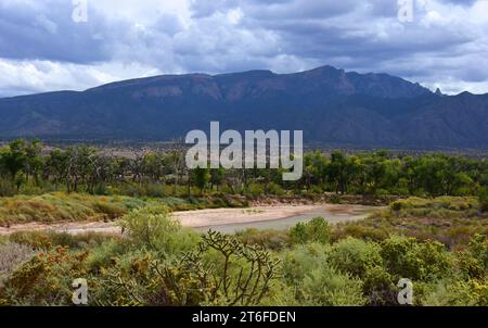 Blick auf einen cholla-Kakteen und die sandia-Gipfel über den rio grande, von der historischen Stätte coronado in bernalillo, New mexico Stockfoto