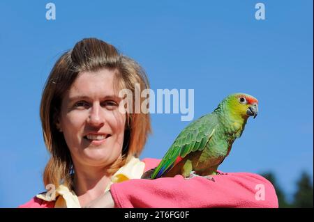 Frau mit ecuador amazonas (Amazona autumnalis lilacina), Frankreich Stockfoto