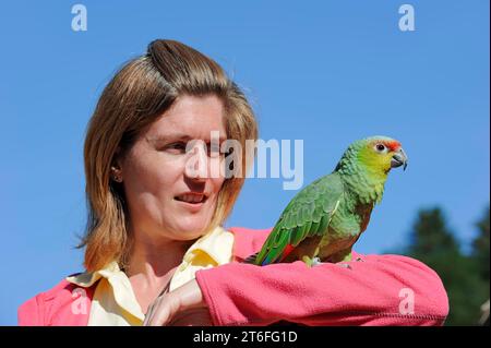 Frau mit ecuador amazonas (Amazona autumnalis lilacina), Frankreich Stockfoto