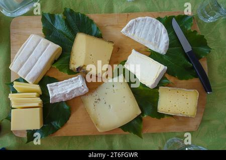 Käseplatte, verschiedene Käsesorten auf Holzbrett, Hartkäse, Camembert, Weißschimmelkäse, Ziegenkäse, Küchenmesser, Weinblätter, Blätter Stockfoto