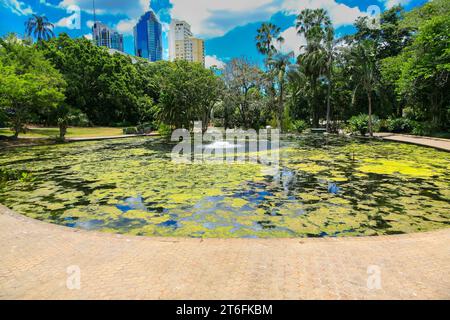 Brisbane City Botanic Gardens mit Oakman's Lagoon. Wasserteich mit Brunnen in der Nähe des Stadtzentrums von Brisbane, Queensland, Australien. Stockfoto