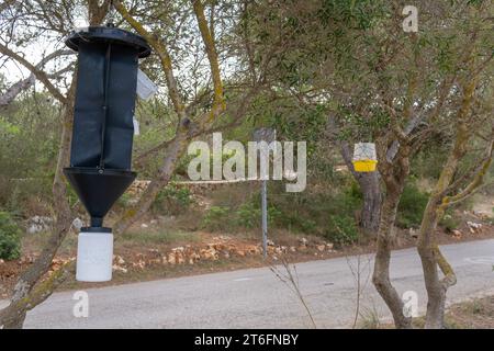 Pheromon-basiertes Baumschädlingsbekämpfungssystem. Insel Mallorca, Spanien Stockfoto