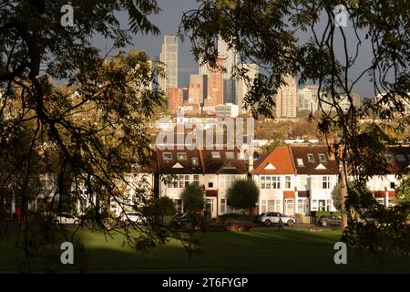 Blick durch Eschen in Richtung vorstädtischer Wohnanlagen und weit entfernter Stadthochhäuser im Ruskin Park, einem öffentlichen Grünplatz in Lambeth, am 9. November 2023 in London, England. Stockfoto