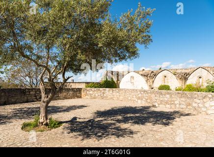 Blick in Richtung Monasterio (Kloster) San Francisco el Real de la Coria, heute Coria Museum, erbaut im 15. Jahrhundert für die Clarissa Nonnen, Trujillo, Ex Stockfoto