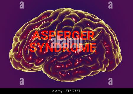 Eine konzeptionelle 3D-Illustration mit dem Text Asperger-Syndrom im anatomischen Modell eines menschlichen Gehirns, die die neurologische Grundlage von hervorhebt Stockfoto