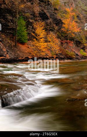 Taughannock Creek im Herbst, Taughannock Falls State Park Stockfoto