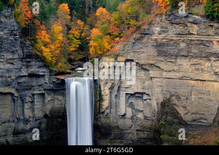 Taughannock Falls im Herbst, Taughannock Falls State Park Stockfoto