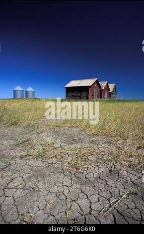 Schlammrisse im trockenem, aber fruchtbarem Palliser-Dreieck im Süden von Saskatchewan mit Bauernhäusern. Saskatchewan, Kanada Stockfoto