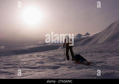 Gletscher-Geologie / Doktorand Ski über den Gletscher Brady und ziehen Sie einen Schlitten geophysikalische Geräte. Stockfoto