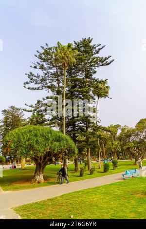 El Jadida, Marokko - 08. April 2023: Schauplatz des Mohammed V-Parks mit Einheimischen und Besuchern in El Jadida, der Atlantikküste Marokkos Stockfoto