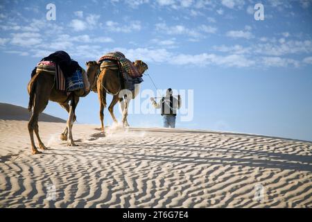 Der Kamel-Trekking-Reiseleiter Nasser führt zwei Kamele (Dromedare) durch die Wüste. Stockfoto