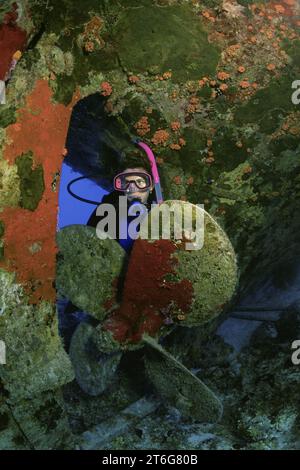 Weibliche Taucherin auf Schiffswrack, Bahamas. Stockfoto