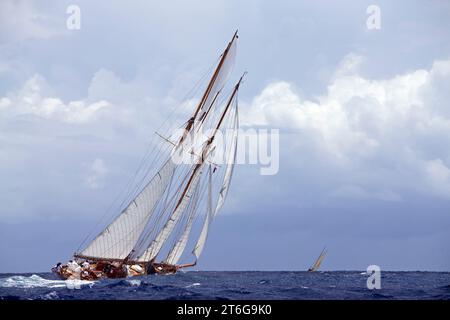 Segelyacht-Rennen in der Antigua Classic Yacht Regatta, Antigua, British West Indies. Stockfoto