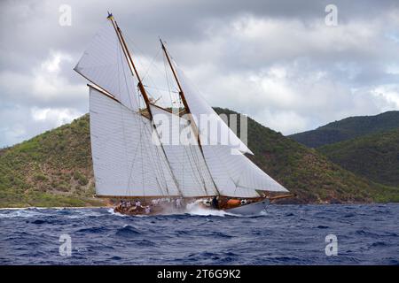 Segelyacht-Rennen in der Antigua Classic Yacht Regatta, Antigua, British West Indies. Stockfoto