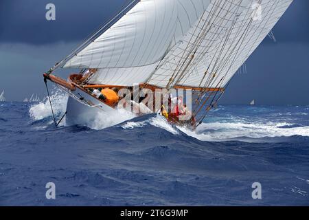 Segelyacht-Rennen in der Antigua Classic Yacht Regatta, Antigua, British West Indies. Stockfoto