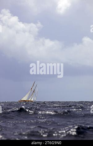 Segelyacht-Rennen in der Antigua Classic Yacht Regatta, Antigua, British West Indies. Stockfoto