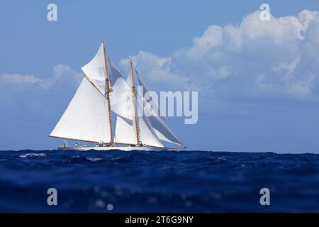 Segelyacht-Rennen in der Antigua Classic Yacht Regatta, Antigua, British West Indies. Stockfoto