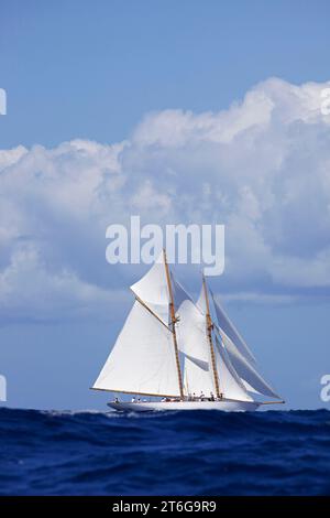 Segelyacht-Rennen in der Antigua Classic Yacht Regatta, Antigua, British West Indies. Stockfoto