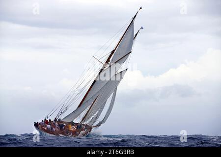 Segelyacht-Rennen in der Antigua Classic Yacht Regatta, Antigua, British West Indies. Stockfoto