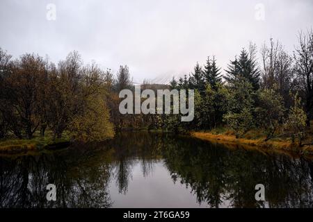 Ruhiger See mit Bäumen unter dem Himmel im Wald Stockfoto