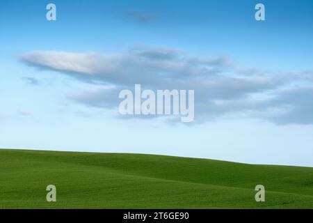 Landschaft von grünen stillen Wiesen bis zum Horizont und blauem Himmel mit Wolken. Stockfoto