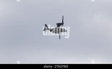 UKRAINE ODESSA, 4. Juli 2021: Amerikanisches Militärtransportflugzeug fliegt tief über Wohngebäude in Wohngebieten, starkes Brüllen militärischer Transp Stockfoto