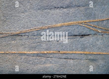 Muster in den Felsblöcken am Strand bei Ebbe in der Nähe von Lilstock, Somerset, England, Großbritannien. Stockfoto