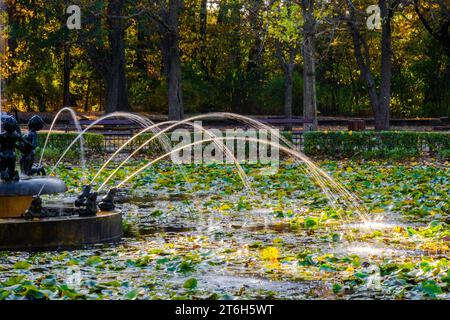 Wunderschöner Brunnen im See im Park. Wasserspeise Stockfoto