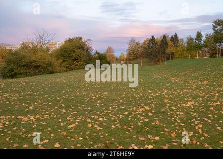 Herbst in einem öffentlichen Park in Prag, während lebhafte Orangenbäume und gefallene Ahornblätter eine malerische Szene schaffen. Auf Hintergrund aufbauen. Stockfoto