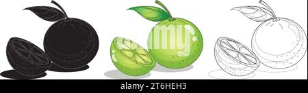 Limette Frucht Design Illustration Vektor Stock Vektor
