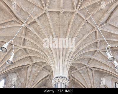 Fächergewölbe von der zentralen Säule im Kapitelhaus der mittelalterlichen christlichen Kathedrale in Lincoln, England. Stockfoto