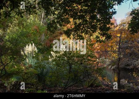 Edinburgh: Spektakuläre Herbstfarben und Kontraste im Royal Botanic Garden, teilweise im Wasser reflektiert. Stockfoto