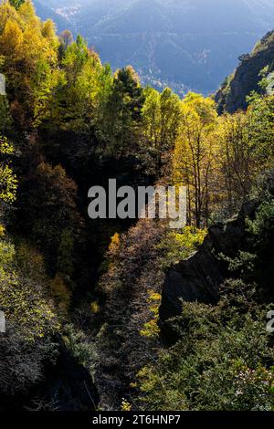 Landschaft in den Pyrenäen im Canillo-Gebiet in Andorra im Herbst Stockfoto