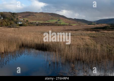 Loch na Cuilce und Glen Bellart aus Dervaig, Isle of Mull, Schottland Stockfoto