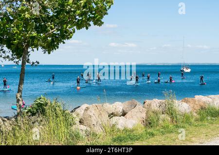 Dänemark, Jütland, Aarhus, Küste, Blick auf die Ostsee, Stand Up Paddler, Kurs Stockfoto