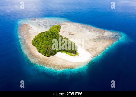 Tropische Insel in Dampier Strait, Raja Ampat, West Papua, Indonesien Stockfoto