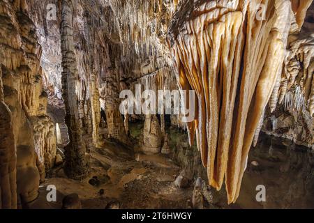 Stalaktitenformationen in der Höhle Grandes Canalettes. Villefranche-de-Conflent, Okzitanien, Frankreich. Stockfoto