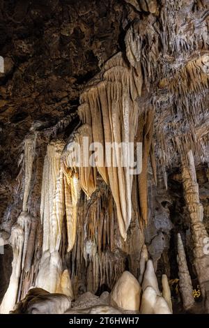 Stalaktitenformationen in der Höhle Grandes Canalettes. Villefranche-de-Conflent, Okzitanien, Frankreich. Stockfoto