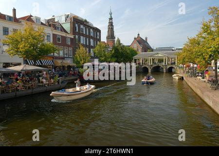 Blick über Nieuwe Rijn zu Cafés und Rathaus in Leiden / Leyden, Südholland, Zuid-Holland, Benelux-Ländern, Niederlande, Nederland Stockfoto