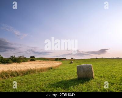Heuballen auf einer Wiese in der Feldberger Seenlandschaft Stockfoto
