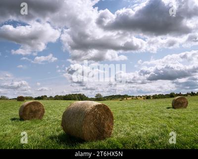 Heuballen auf einer Wiese in der Feldberger Seenlandschaft Stockfoto